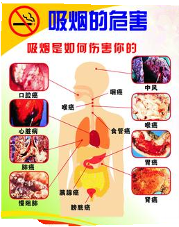 珍爱生命，远离烟草